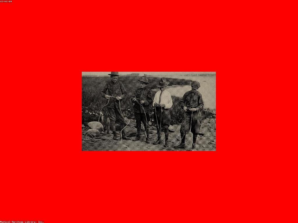 សកម្មភាព និងព្រឹត្តិការណ៍: ការបង្កើត និងការពិចារណា