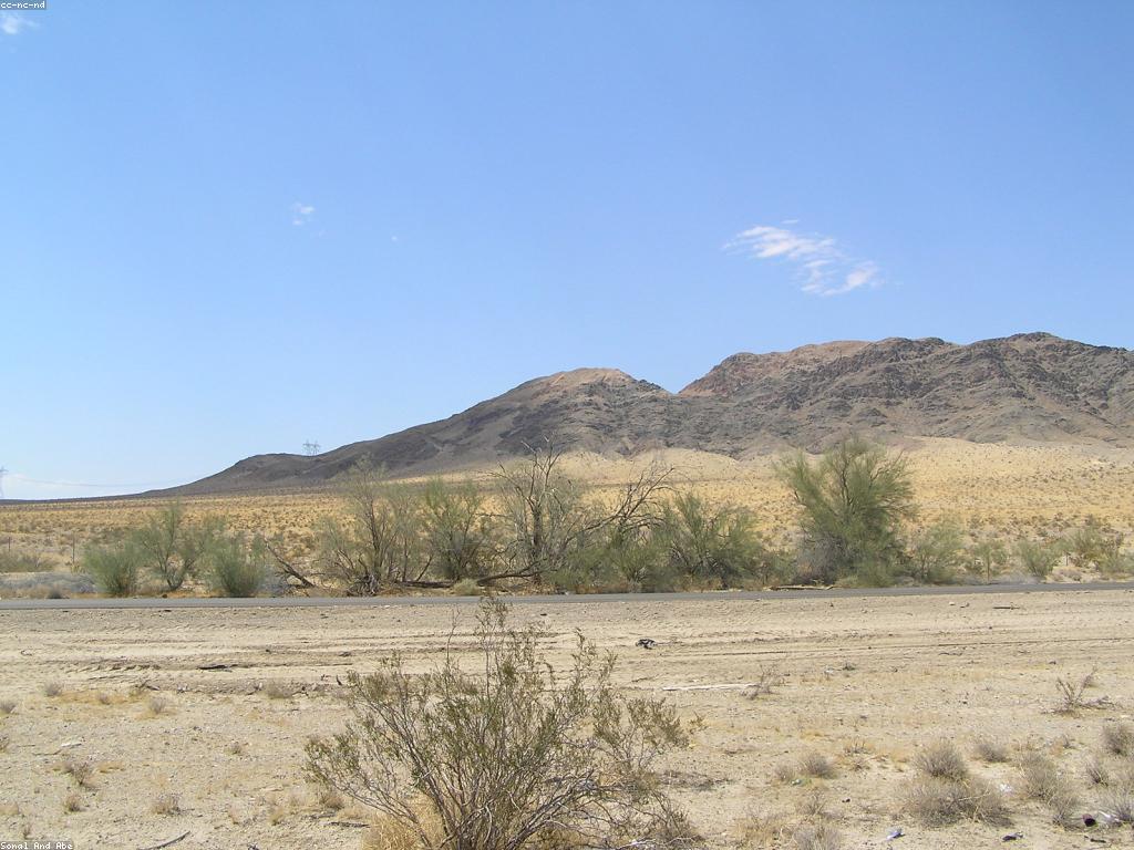 ការត្រួតពិនិត្យកាស៊ីណូ: យុទ្ធសាស្ត្រនិងការវិភាគ