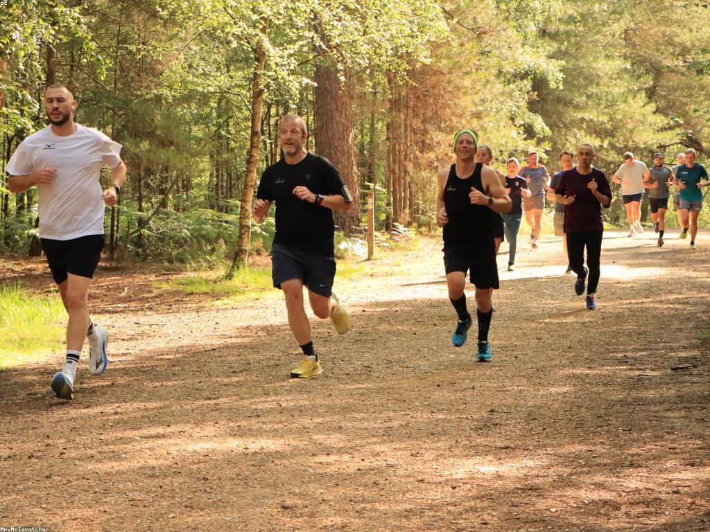 សកម្មភាព និងព្រឹត្តិការណ៍៖ ការបង្កើនជីវិតសង្គម