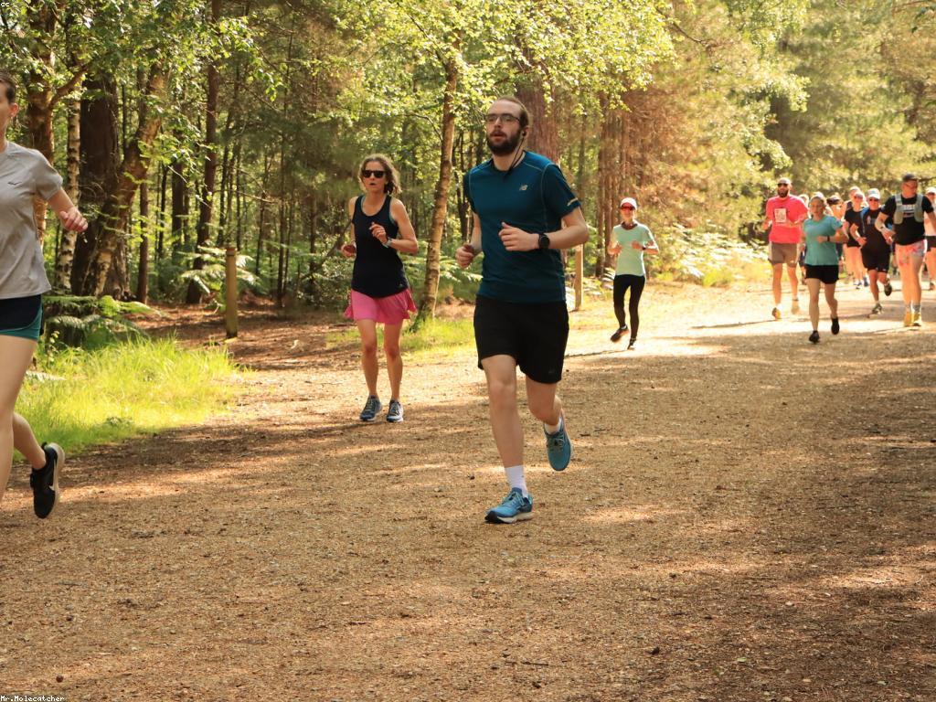 សកម្មភាព និងព្រឹត្តិការណ៍៖ ការអភិវឌ្ឍន៍នៃវប្បធម៌ក្នុងសង្គម