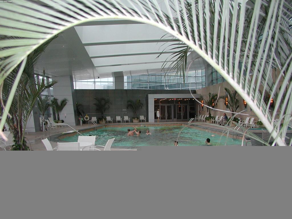 គន្លឹះសំខាន់សម្រាប់ការត្រួតពិនិត្យកាស៊ីណូ