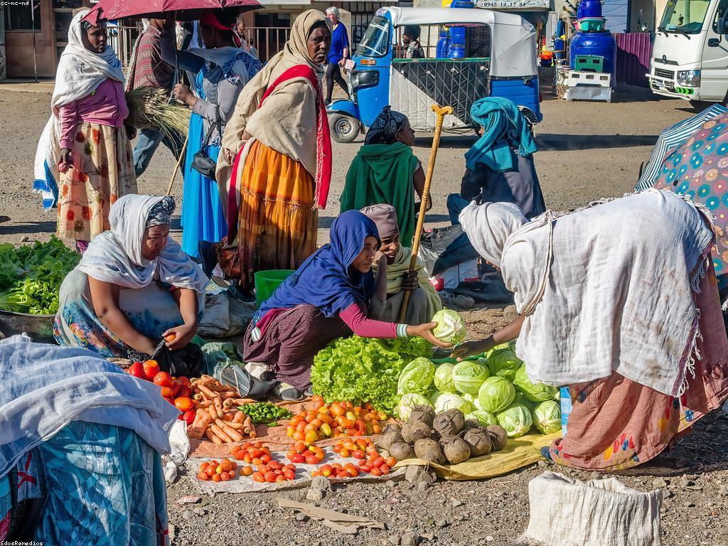 សកម្មភាព និងព្រឹត្តិការណ៍: ការស្វែងយល់អំពីសកម្មភាពវប្បធម៌